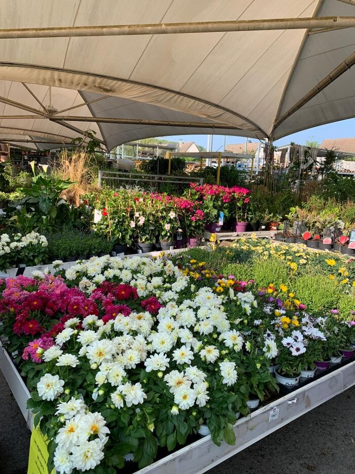 Images Bricomarché Crepy En Valois