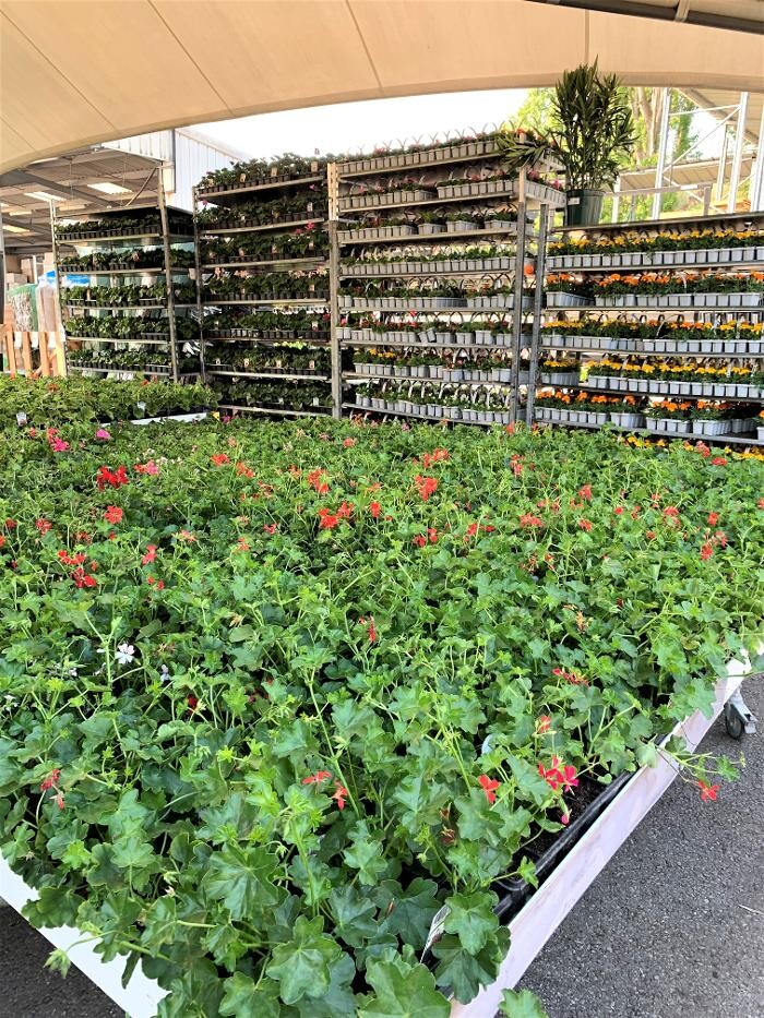 Images Bricomarché Crepy En Valois