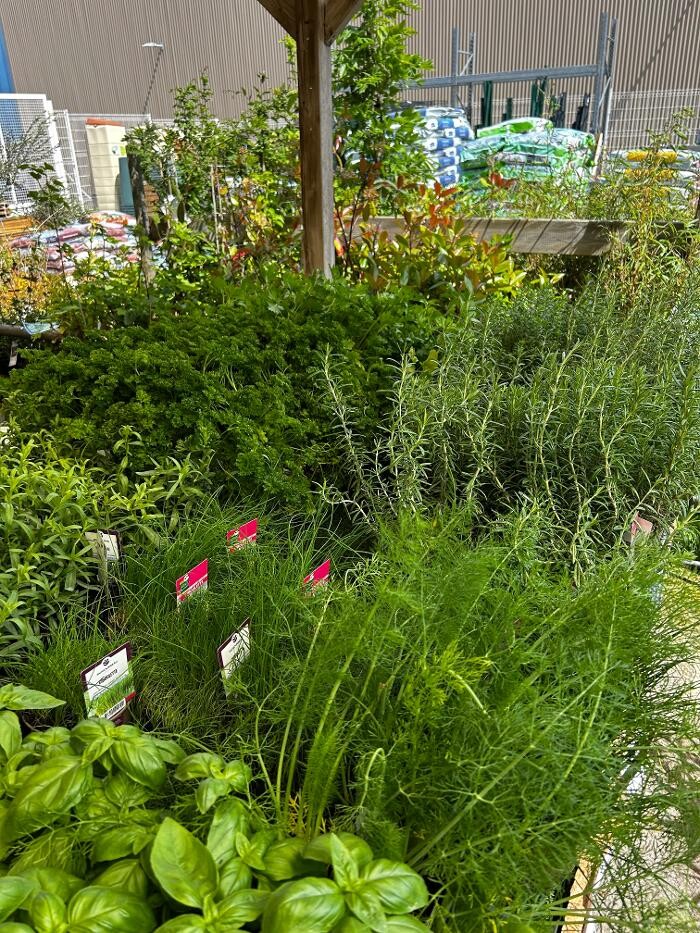 Images Bricomarché Luçon