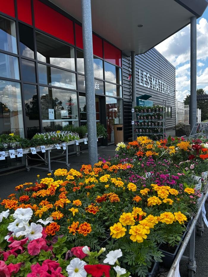 Images Bricomarché Luçon