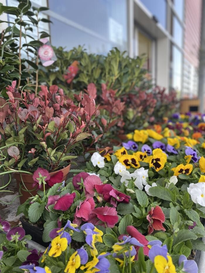 Images Bricomarché Luçon