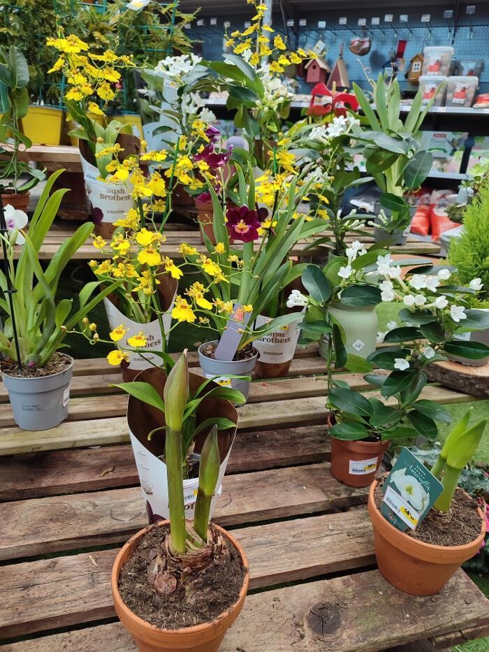 Images Bricomarché Maintenon