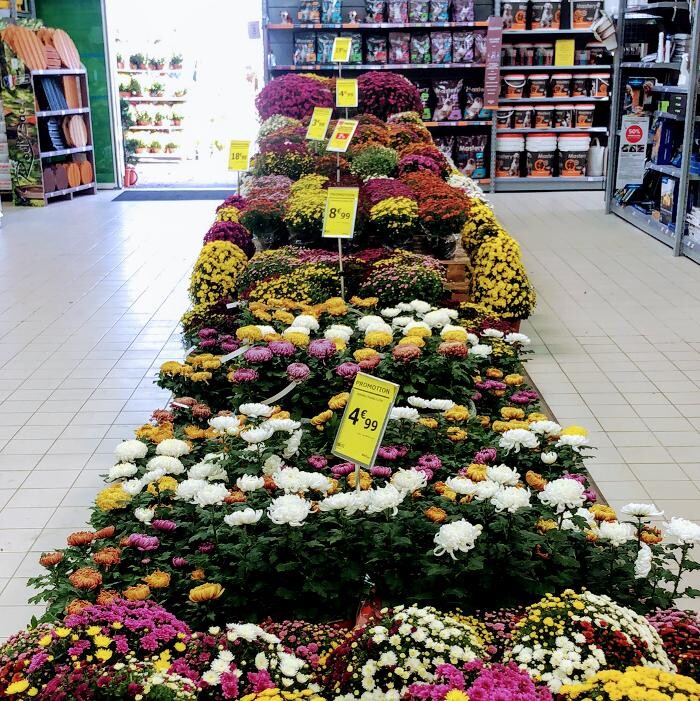 Images Bricomarché Romilly Sur Seine