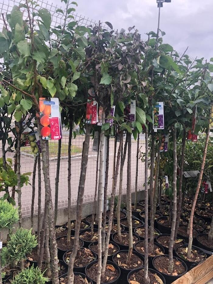 Images Bricomarché Romilly Sur Seine