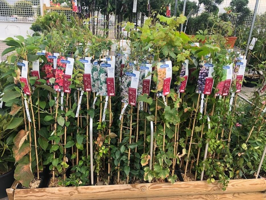 Images Bricomarché Romilly Sur Seine