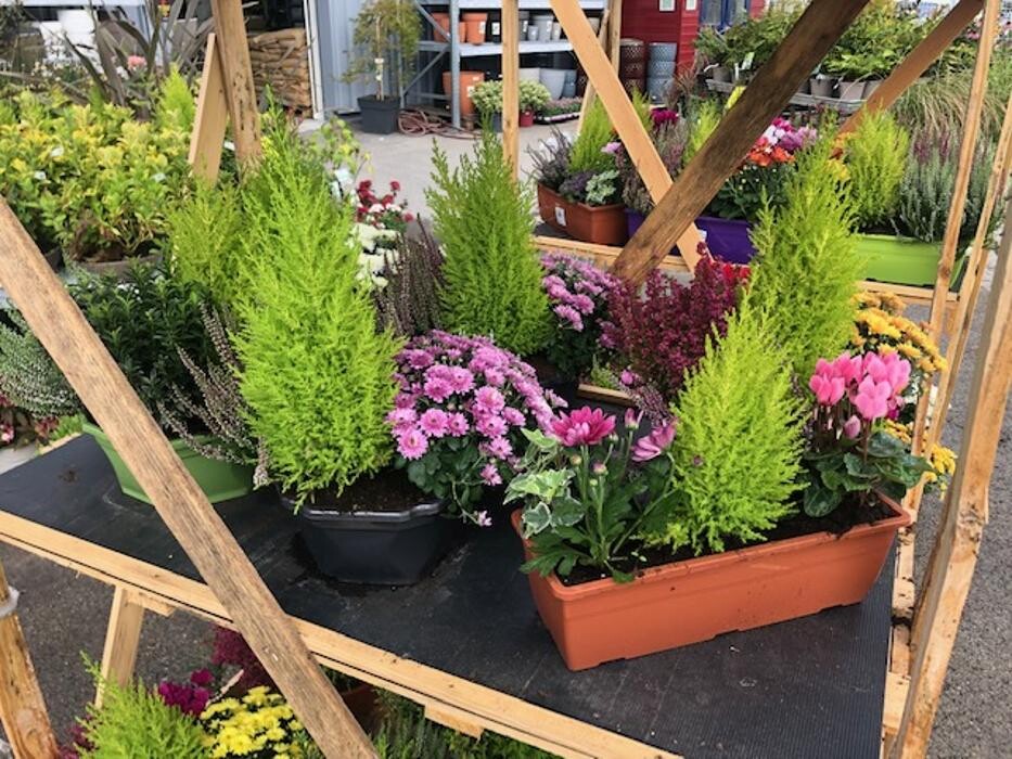 Images Bricomarché Romilly Sur Seine