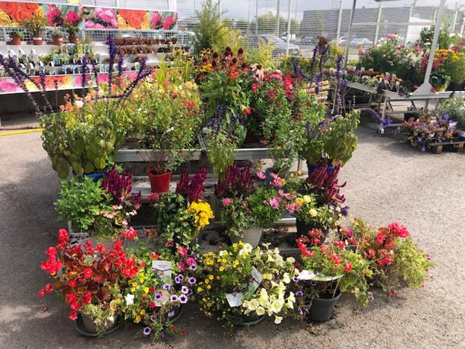 Images Bricomarché Romilly Sur Seine