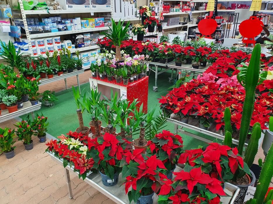 Images Bricomarché Les Fins