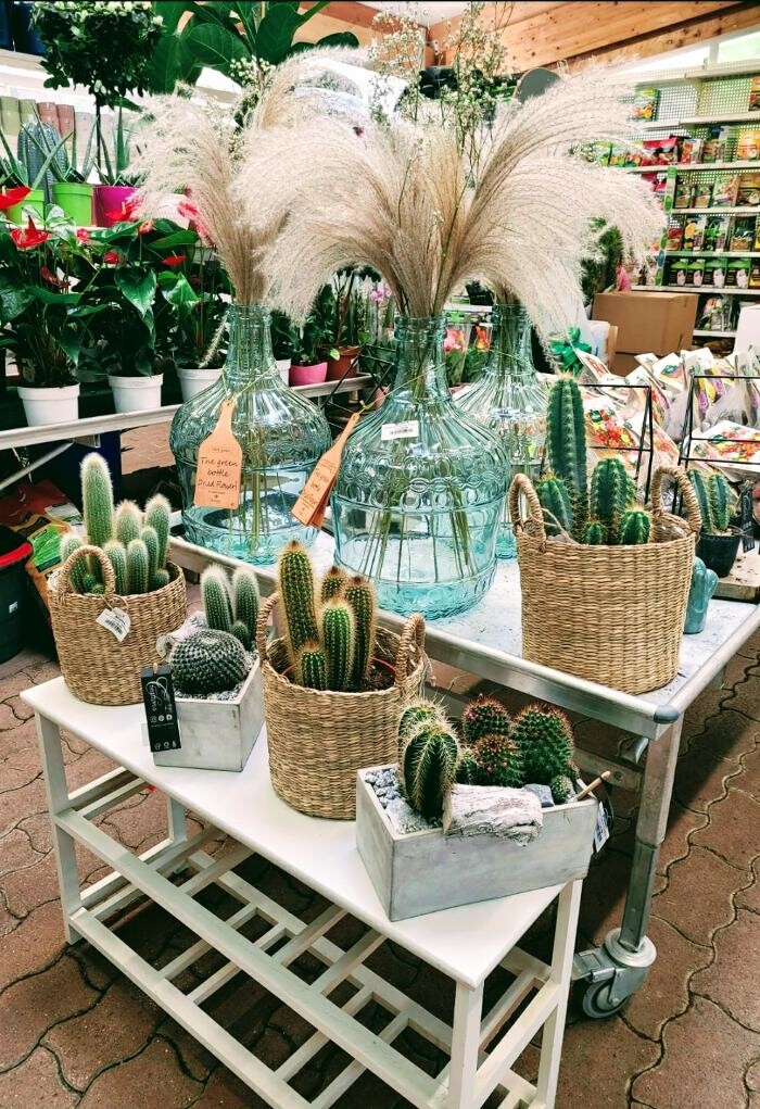 Images Bricomarché Les Fins