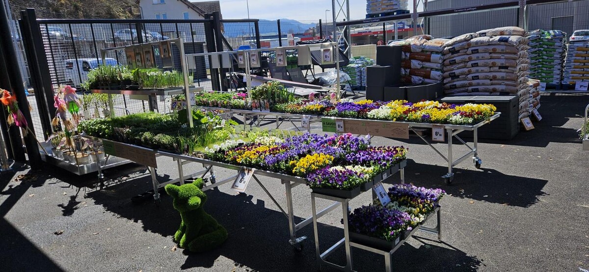 Images Bricomarché Les Fins