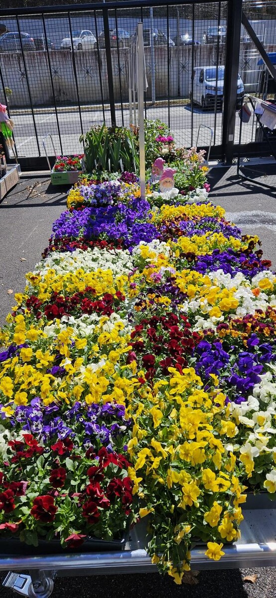 Images Bricomarché Les Fins