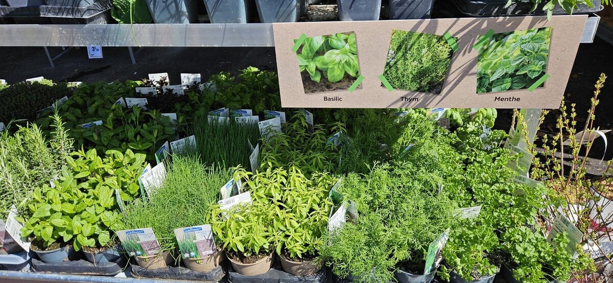 Images Bricomarché Les Fins