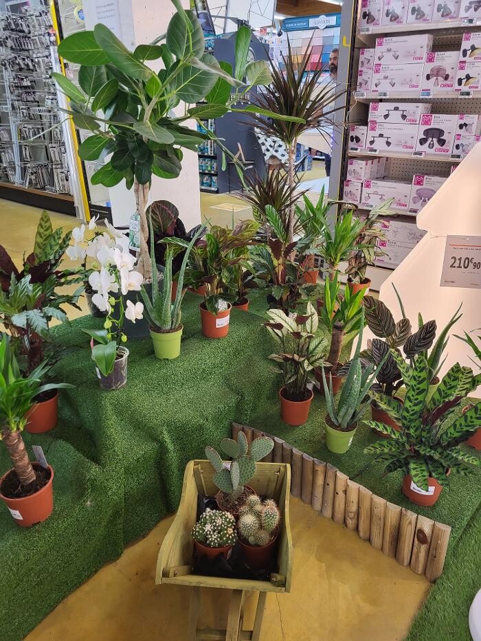 Images Bricomarché Les Fins