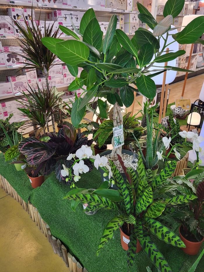 Images Bricomarché Les Fins