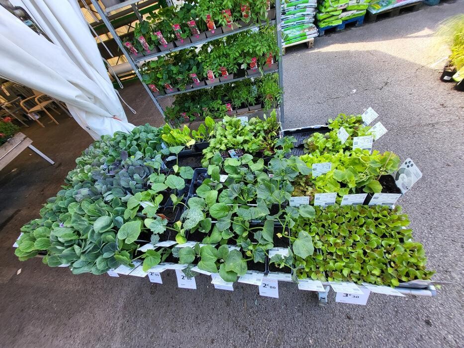 Images Bricomarché Les Fins