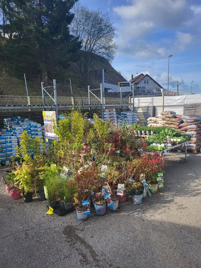 Images Bricomarché Les Fins