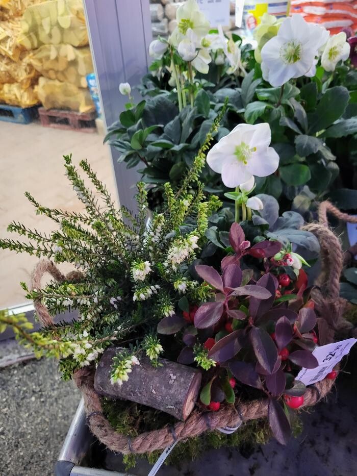 Images Bricomarché Les Fins