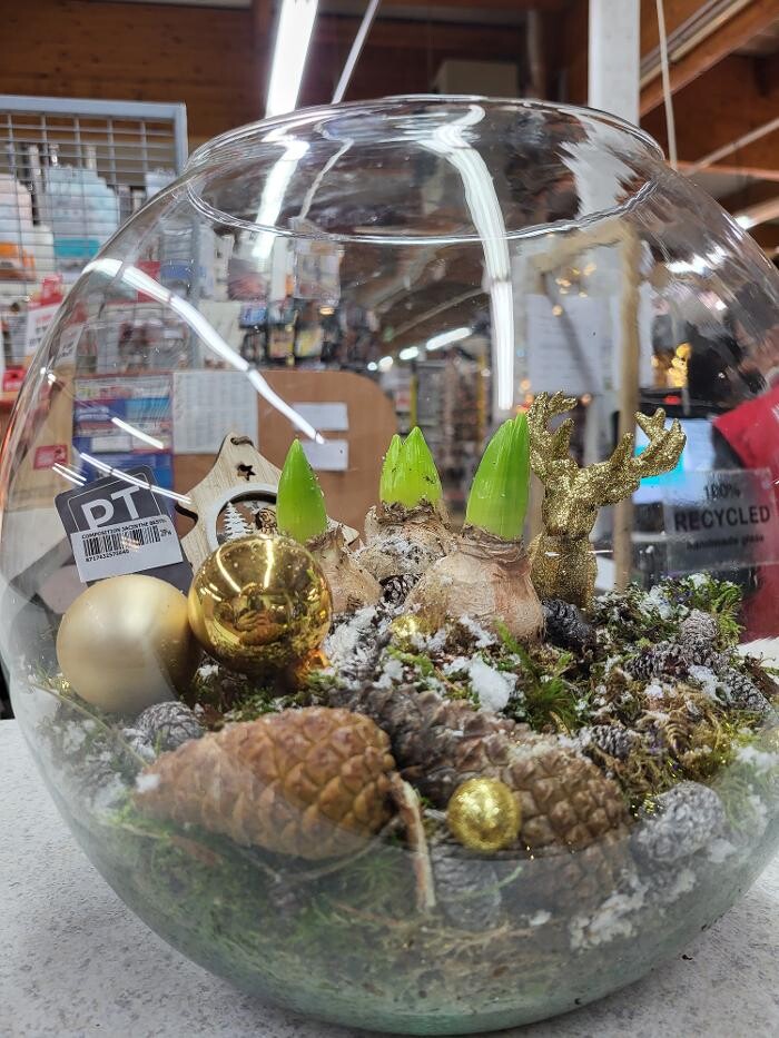 Images Bricomarché Les Fins