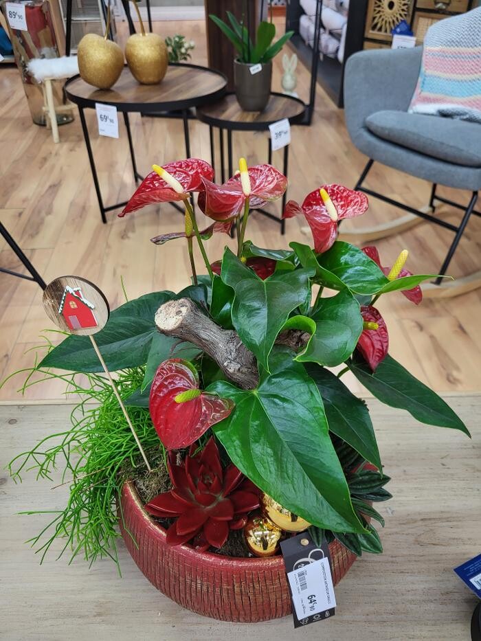 Images Bricomarché Les Fins