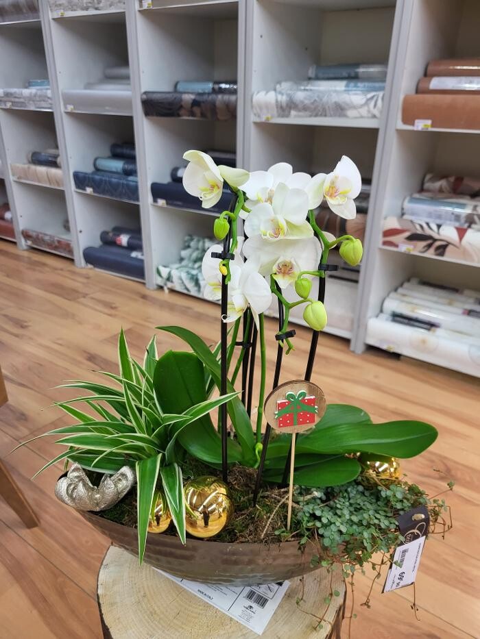 Images Bricomarché Les Fins