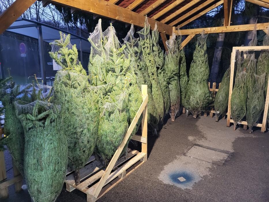 Images Bricomarché Les Fins