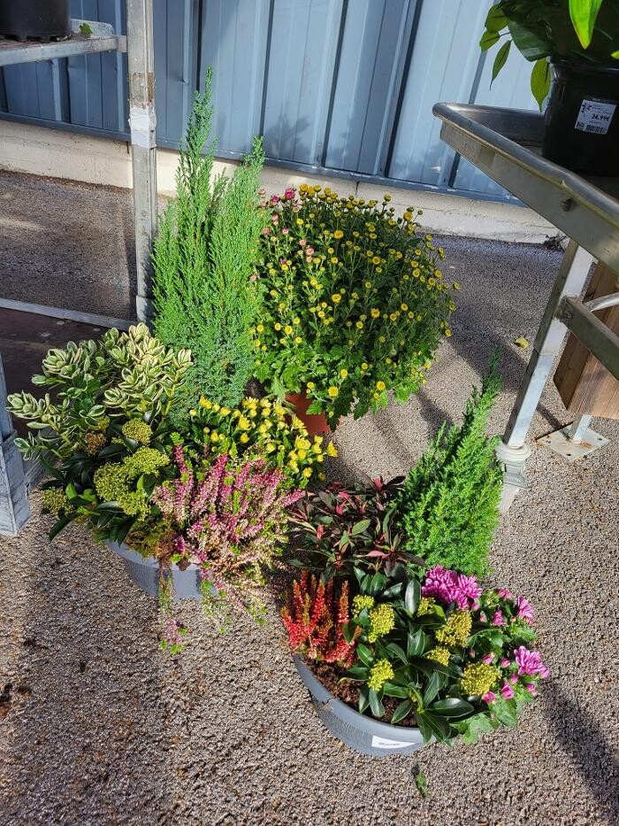 Images Bricomarché Les Fins