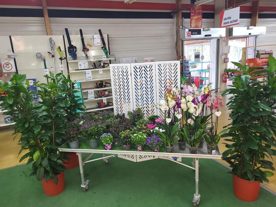 Images Bricomarché Les Fins