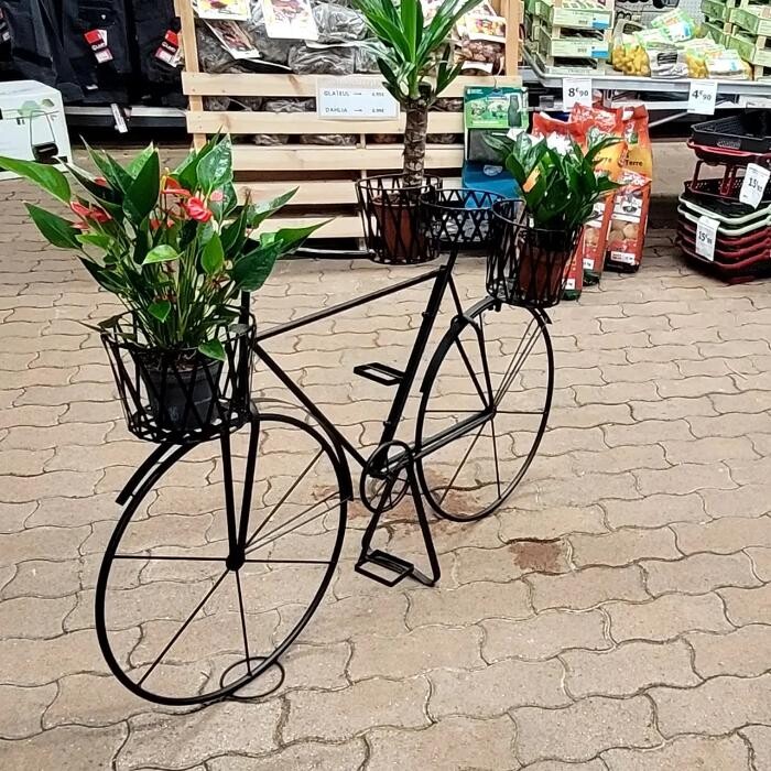 Images Bricomarché Les Fins