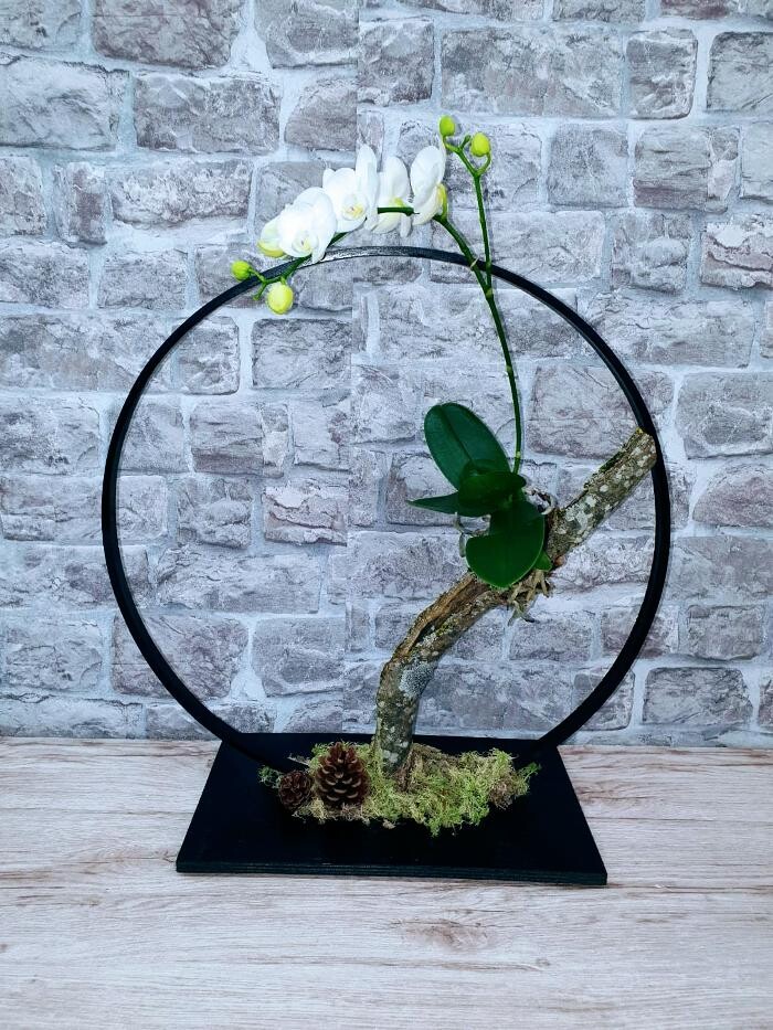 Images Bricomarché Les Fins