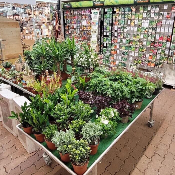 Images Bricomarché Les Fins