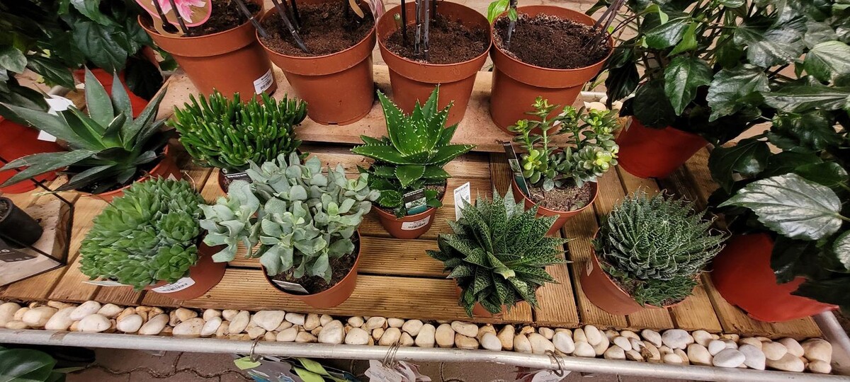 Images Bricomarché Les Fins