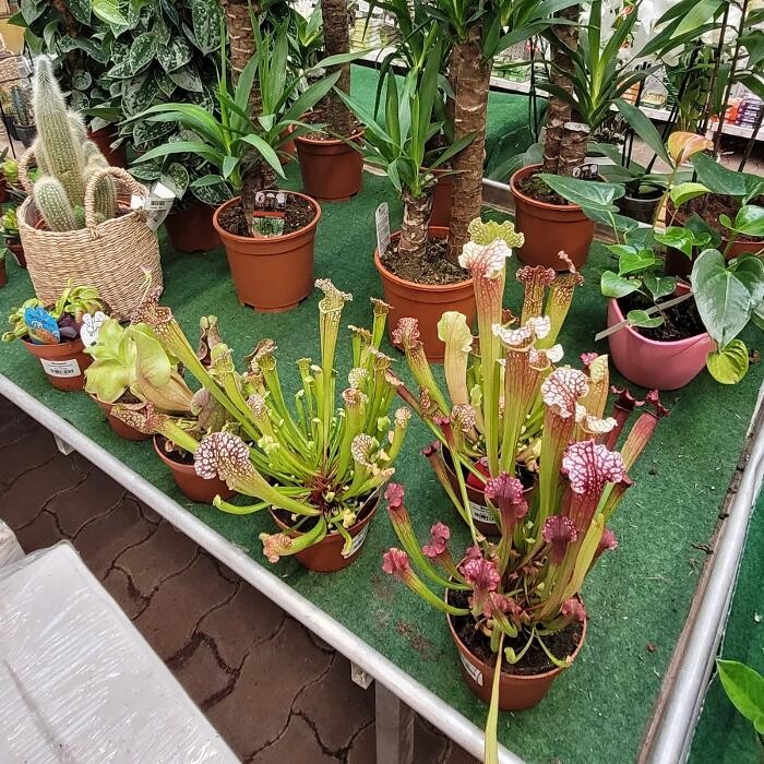 Images Bricomarché Les Fins