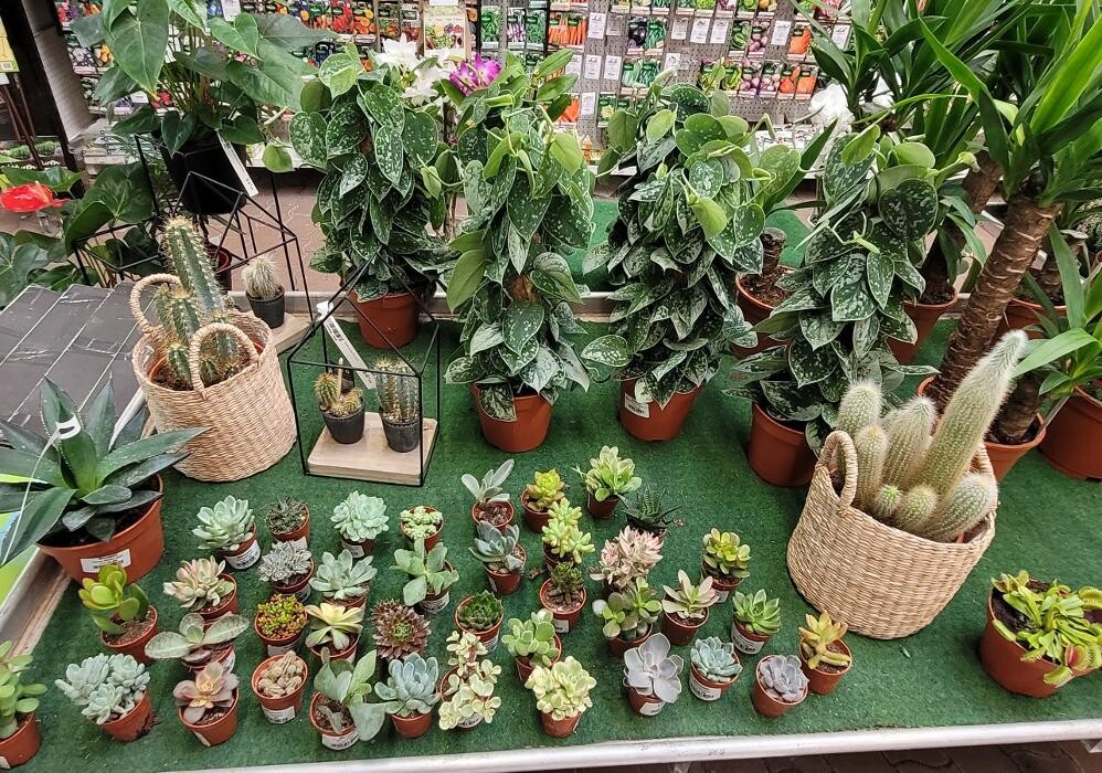 Images Bricomarché Les Fins