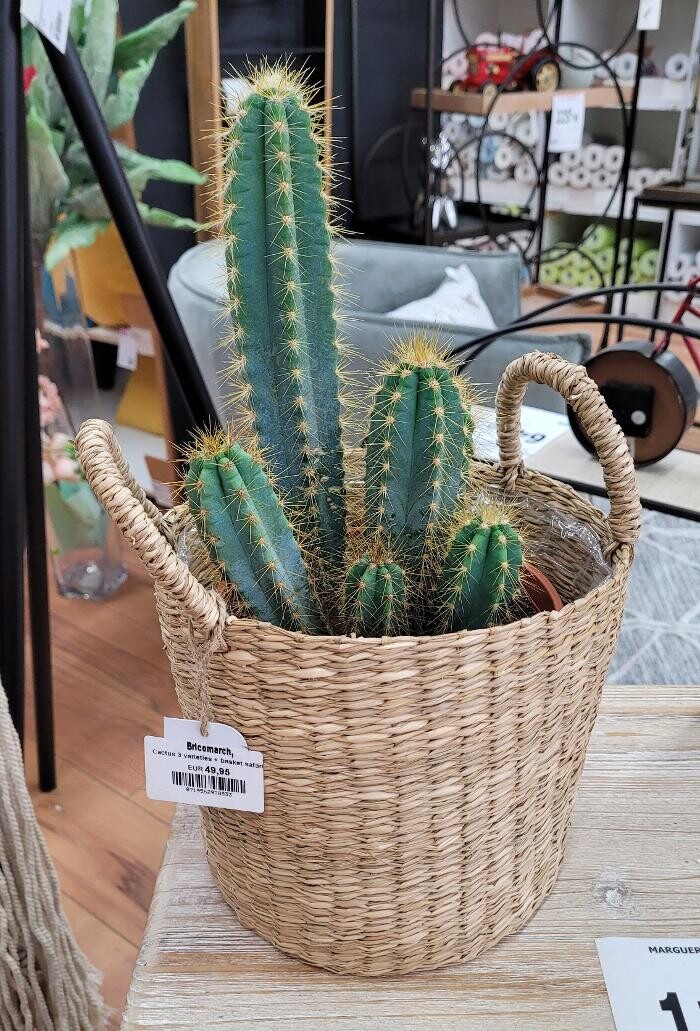 Images Bricomarché Les Fins