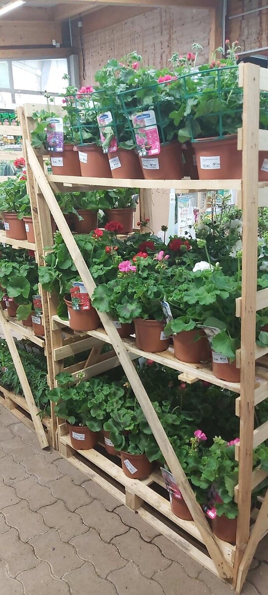 Images Bricomarché Les Fins