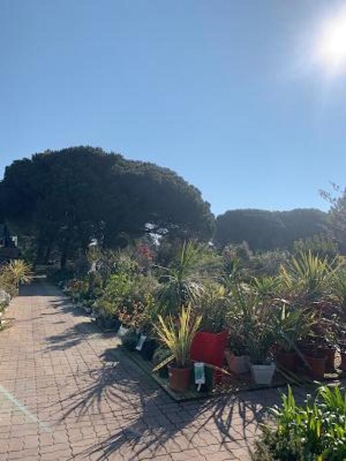 Images Bricomarché La Flotte En Ré