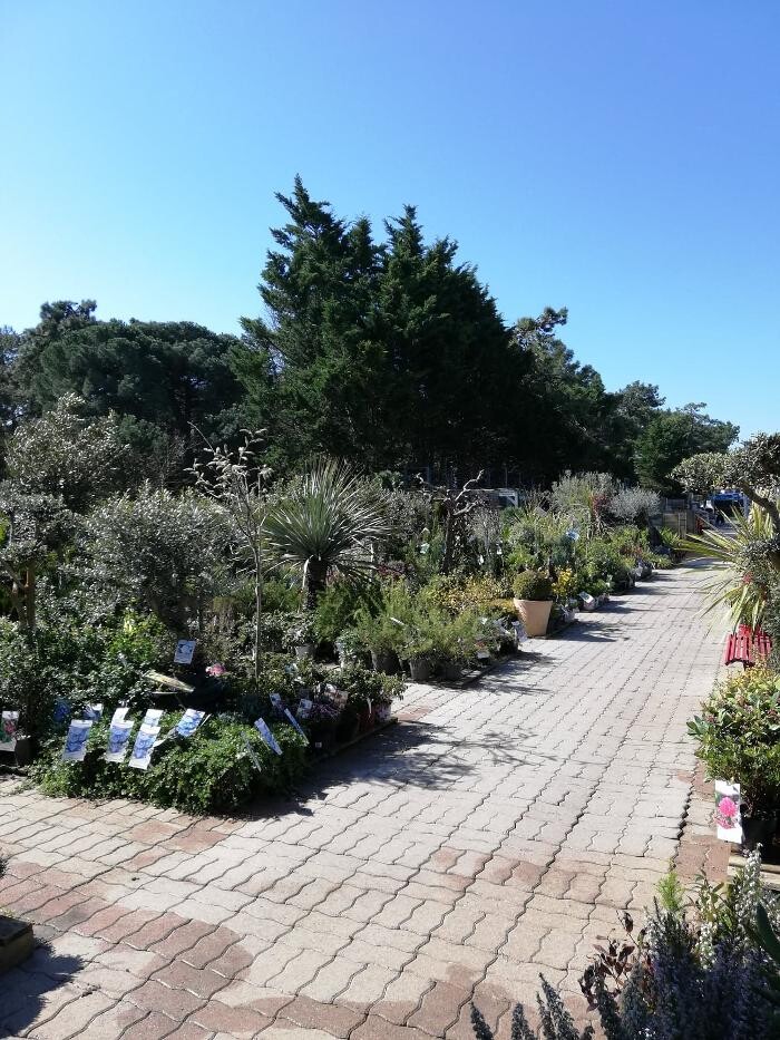 Images Bricomarché La Flotte En Ré