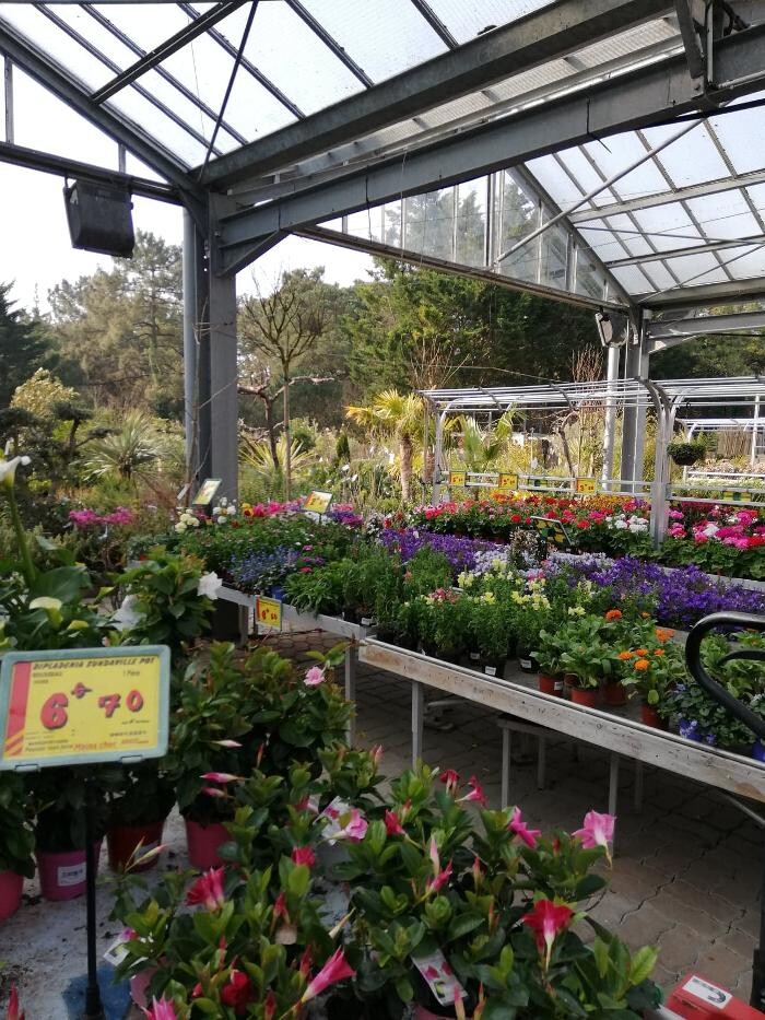 Images Bricomarché La Flotte En Ré