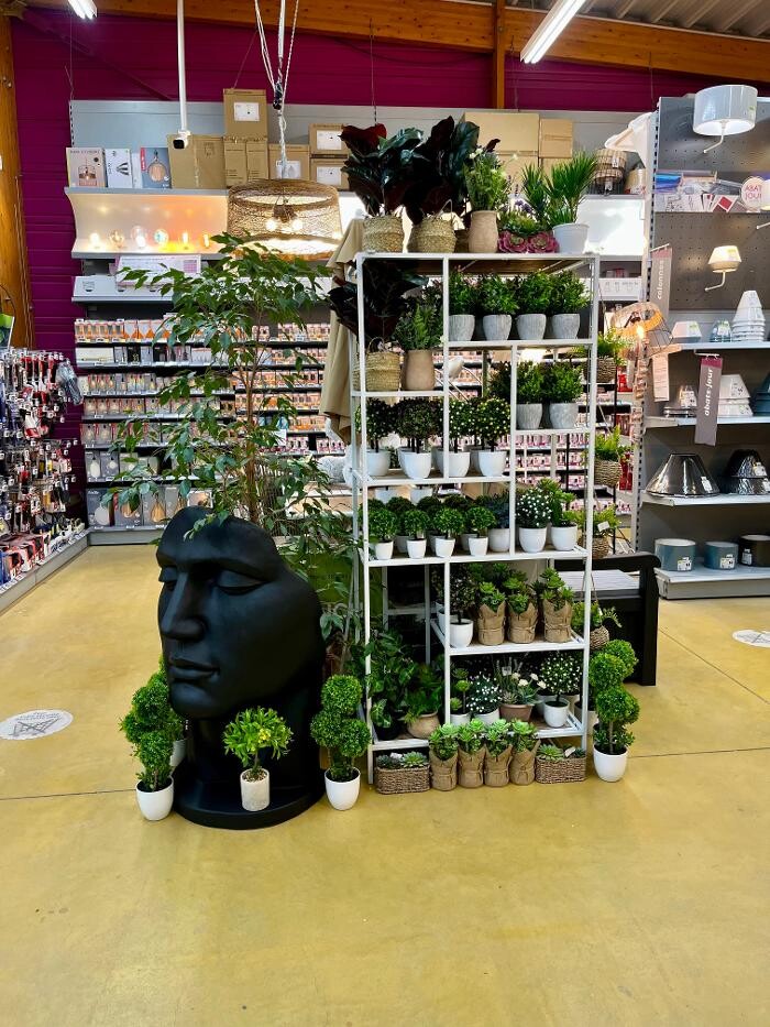 Images Bricomarché Montbrison