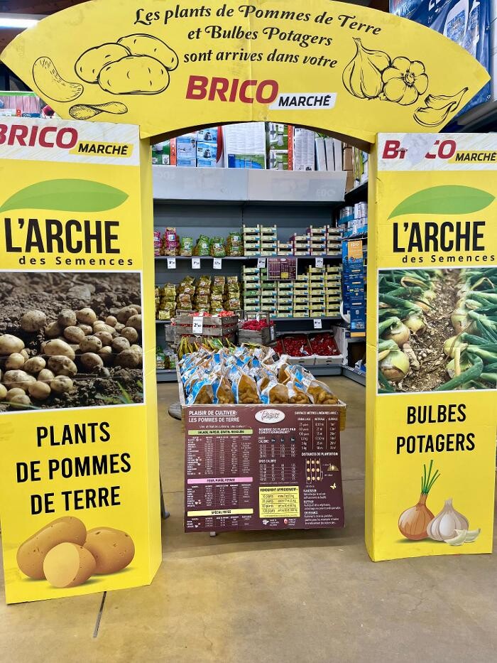 Images Bricomarché Montbrison