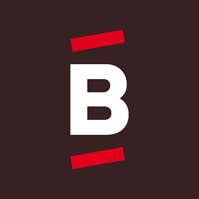 Bricomarché Auray Logo