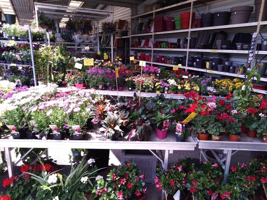 Images Bricomarché Commercy