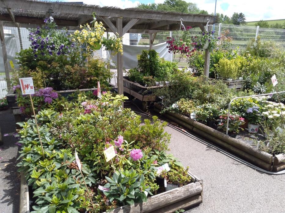 Images Bricomarché Commercy