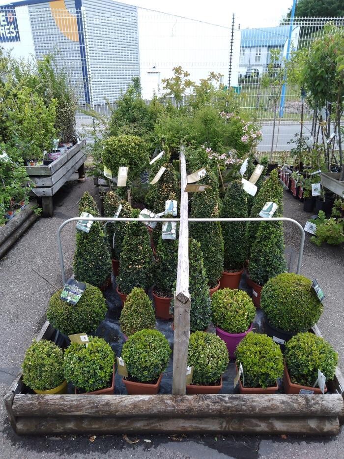 Images Bricomarché Commercy