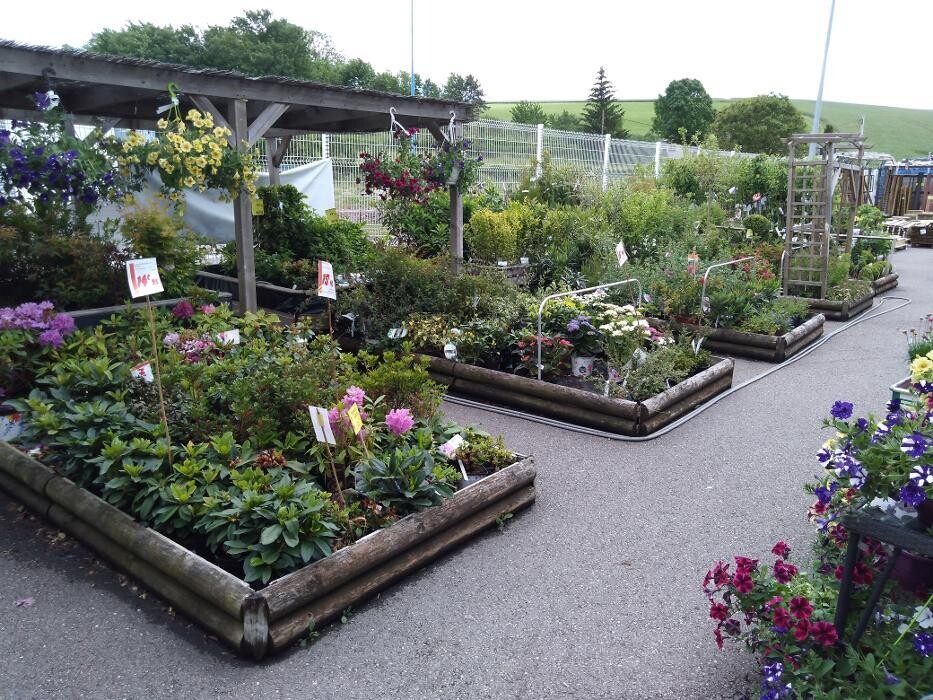 Images Bricomarché Commercy