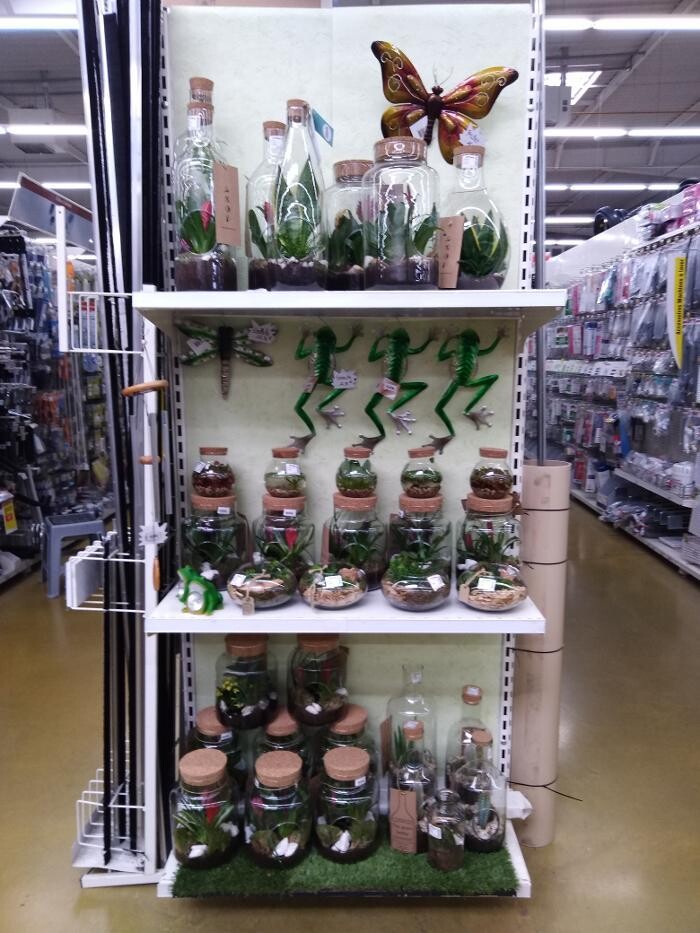 Images Bricomarché Commercy