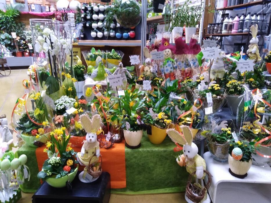 Images Bricomarché Commercy