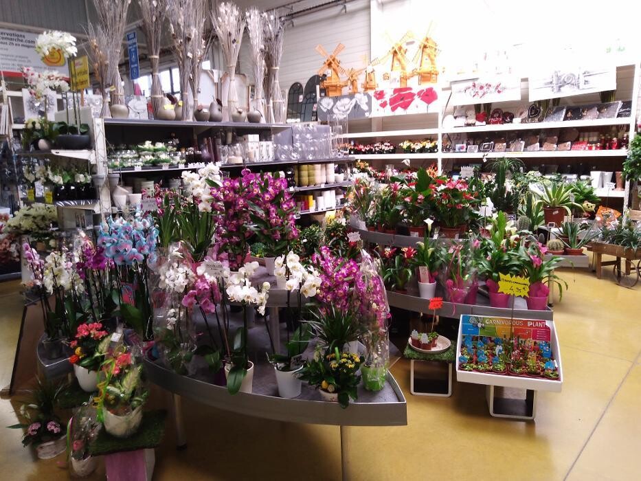 Images Bricomarché Commercy