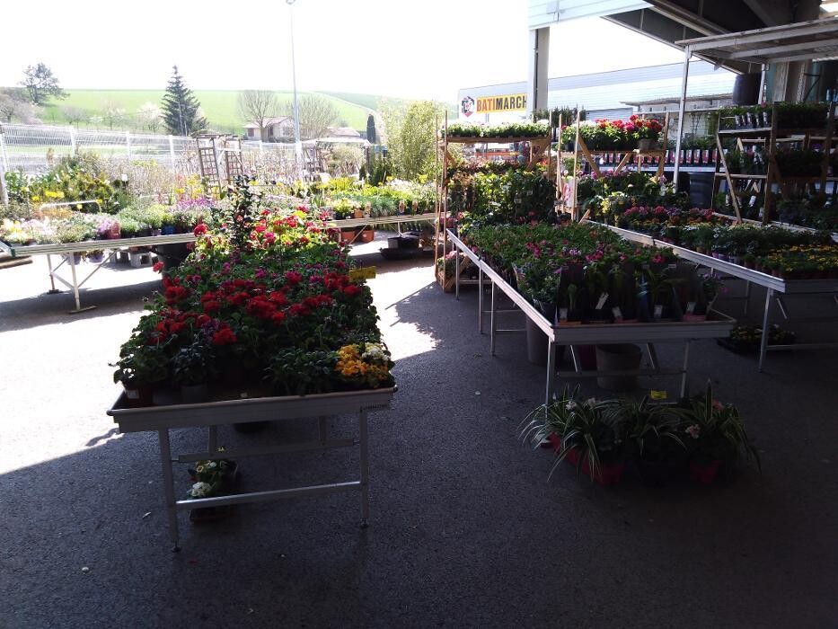 Images Bricomarché Commercy