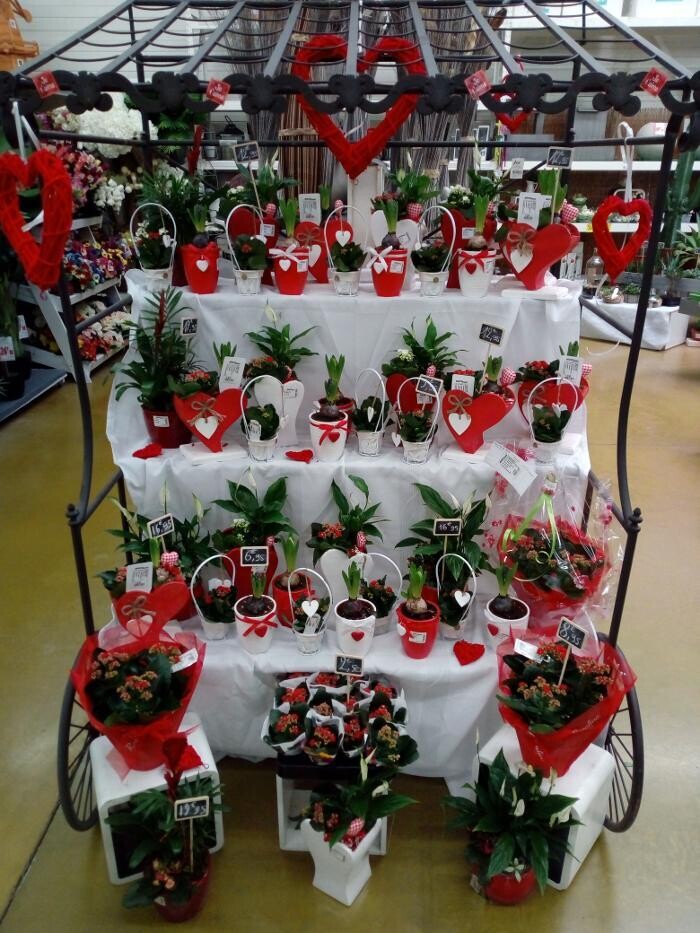 Images Bricomarché Commercy